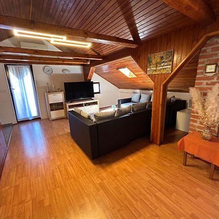 Apartment Milena Brtonigla Zewnętrze zdjęcie