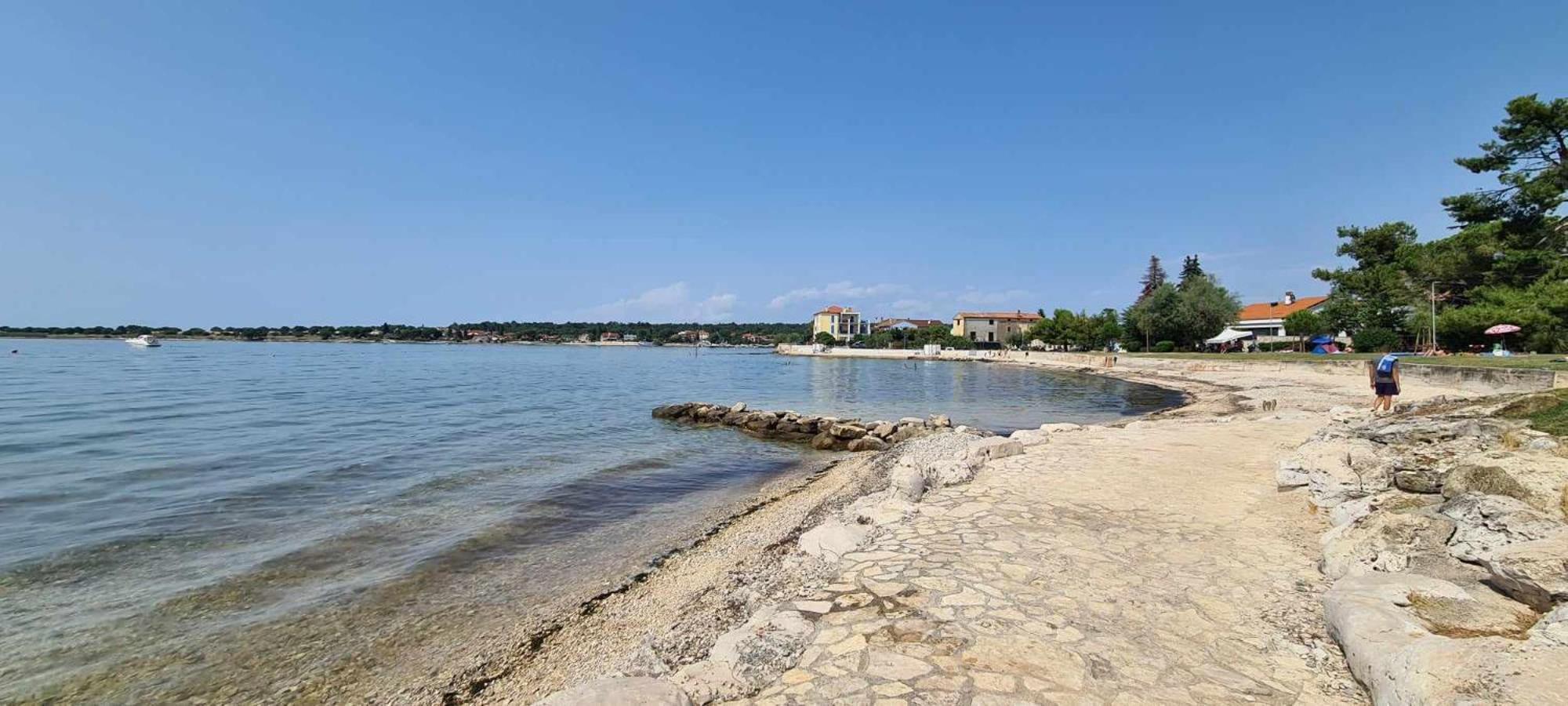 Apartment Milena Brtonigla Zewnętrze zdjęcie